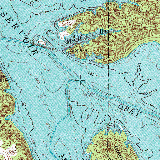 Topographic Map of Ashburn Creek, TN