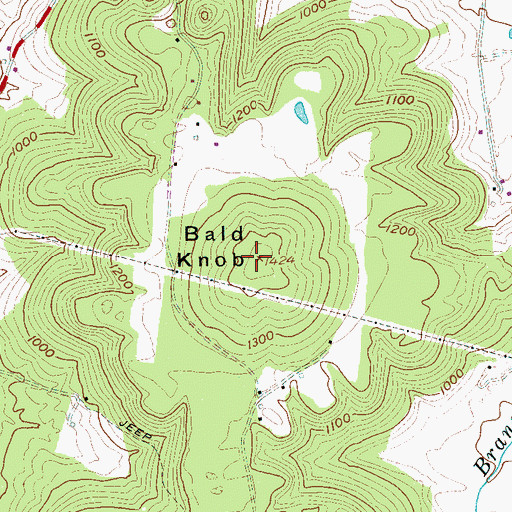 Topographic Map of Bald Knob, TN