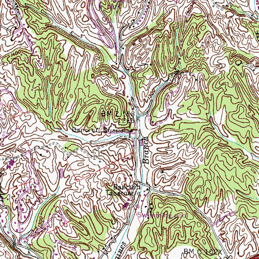 Topographic Map of Bancroft Chapel, TN