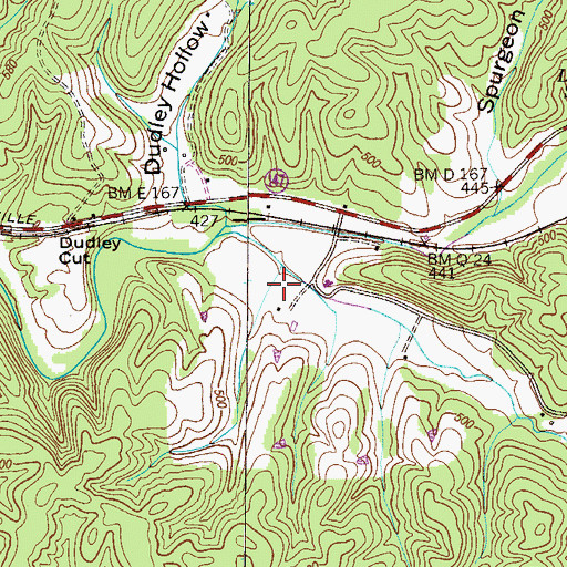 Topographic Map of Barnes Hollow, TN