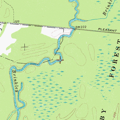 Topographic Map of Barnishee Bayou, TN
