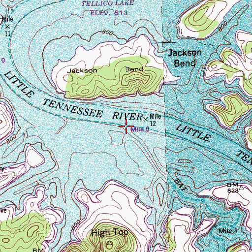 Topographic Map of Bat Creek, TN