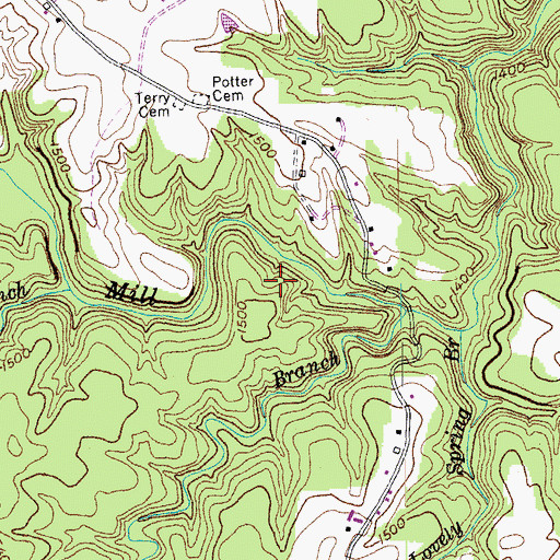 Topographic Map of Bear Branch, TN