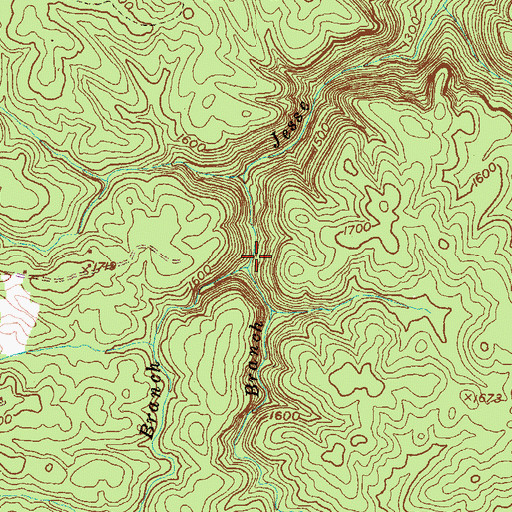 Topographic Map of Bear Branch, TN