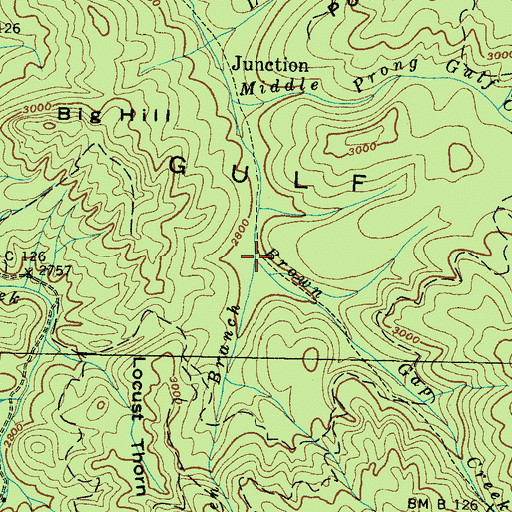 Topographic Map of Bearpen Branch, TN