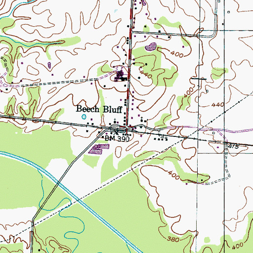 Topographic Map of Beech Bluff, TN