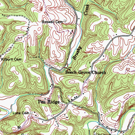 Topographic Map of Beech Grove Church, TN