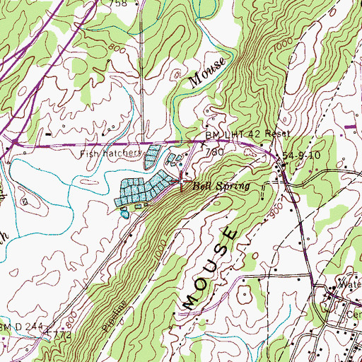 Topographic Map of Bell Spring, TN