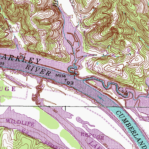 Topographic Map of Bellwood Branch, TN