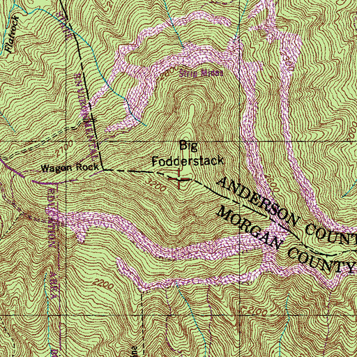 Topographic Map of Big Fodderstack, TN