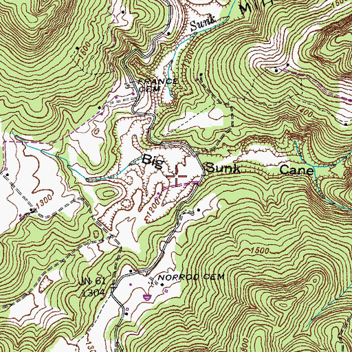 Topographic Map of Big Sunk Cane, TN