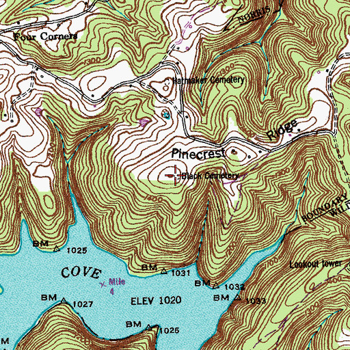 Topographic Map of Black Cemetery, TN
