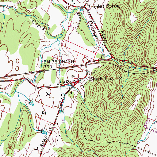 Topographic Map of Black Fox, TN