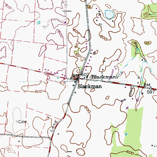 Topographic Map of Blackman, TN