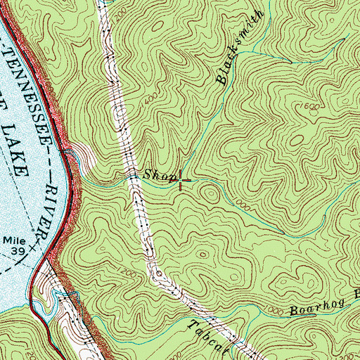 Topographic Map of Blacksmith Branch, TN