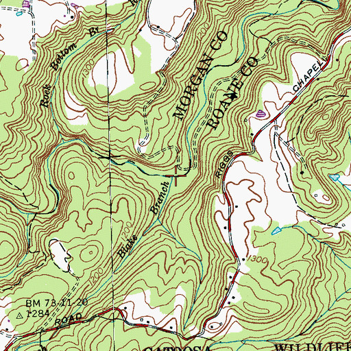 Topographic Map of Blake Branch, TN