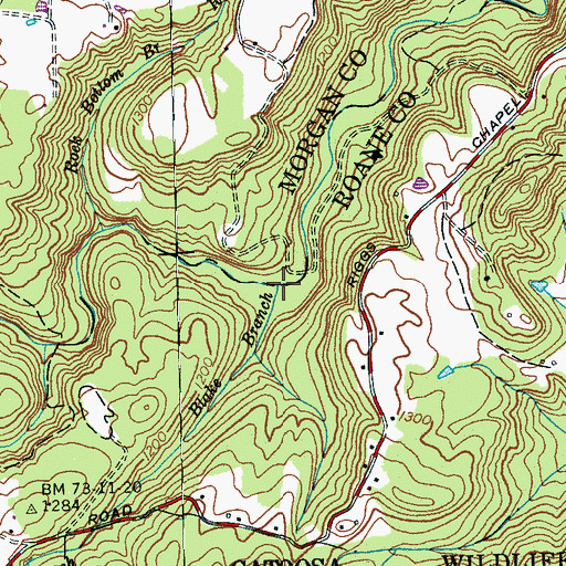 Topographic Map of Blake Branch, TN