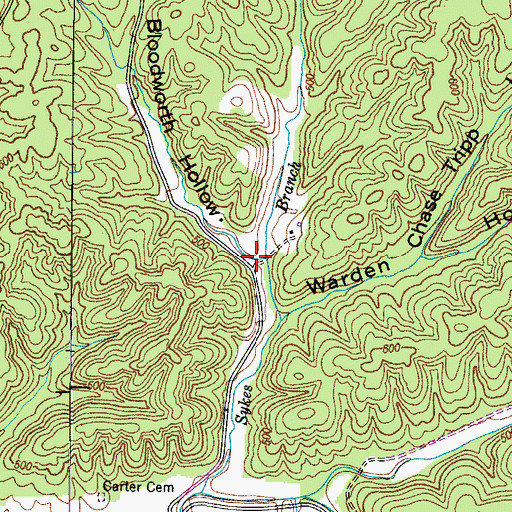 Topographic Map of Bloodworth Hollow, TN