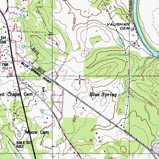 Topographic Map of Blue Spring Church, TN