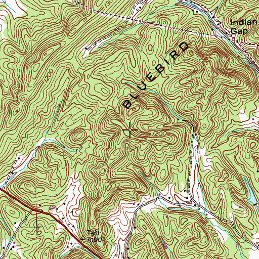 Topographic Map of Bluebird Ridge, TN