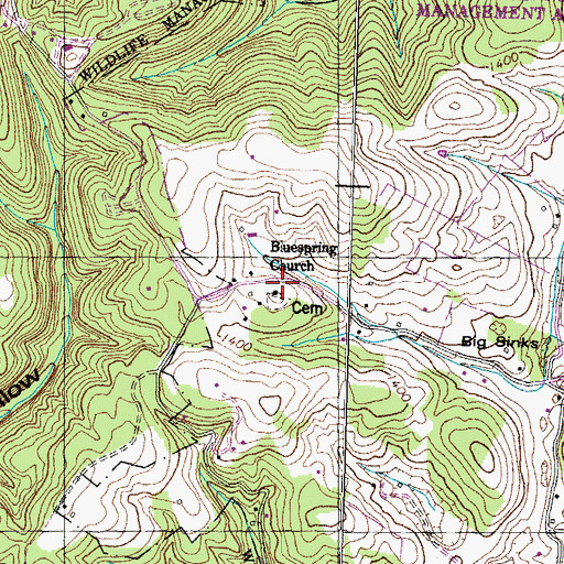 Topographic Map of Bluespring Church, TN