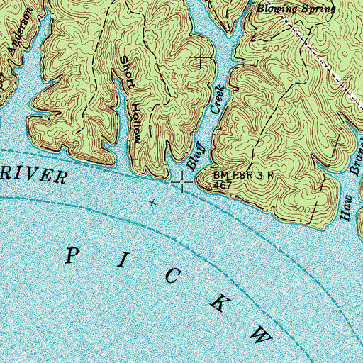 Topographic Map of Bluff Creek, TN