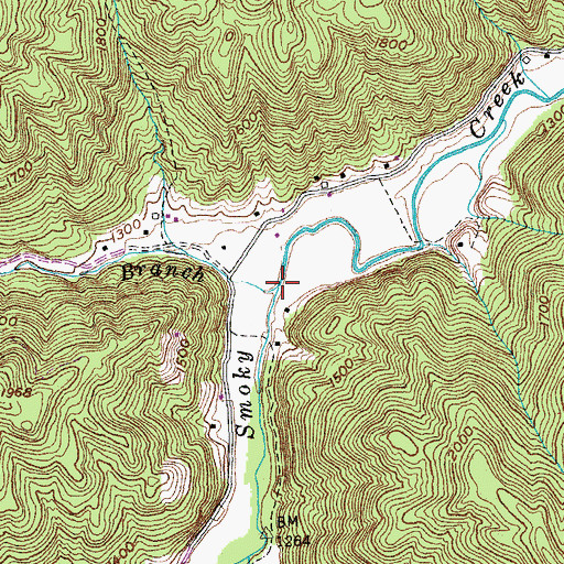 Topographic Map of Bowling Branch, TN
