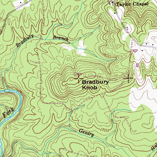 Topographic Map of Bradbury Knob, TN