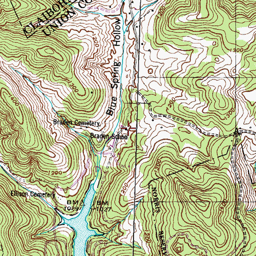 Topographic Map of Braden School, TN