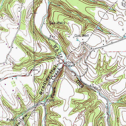 Topographic Map of Bradley Hollow, TN