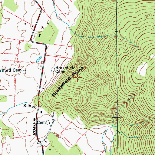Topographic Map of Brakefield Point, TN