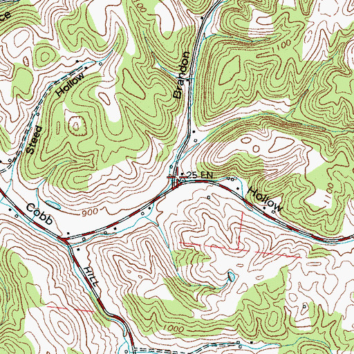 Topographic Map of Brandon Hollow, TN