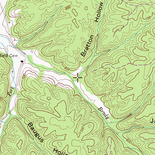 Topographic Map of Bratton Hollow, TN