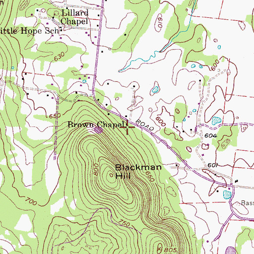 Topographic Map of Brown Chapel, TN