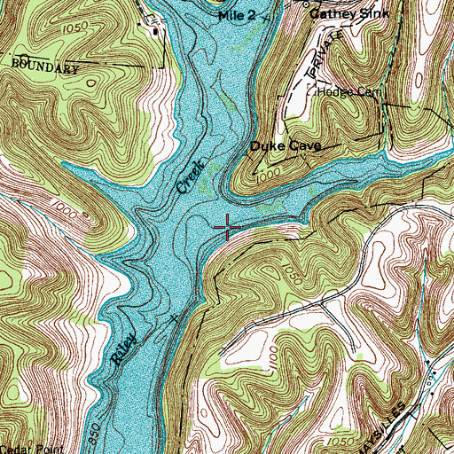 Topographic Map of Buck Hollow, TN
