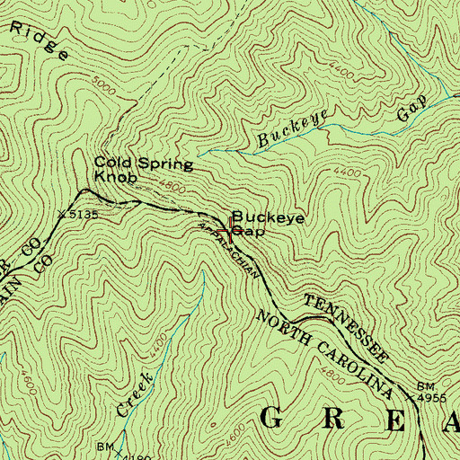 Topographic Map of Buckeye Gap, TN