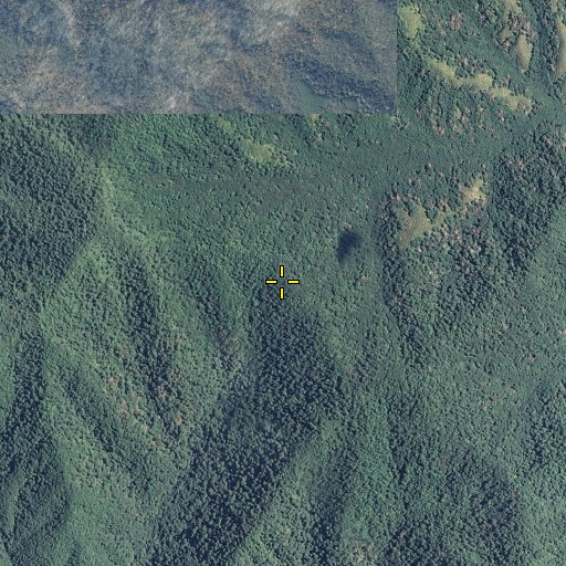 Aerial/Satellite Image of Buckeye Gap, TN
