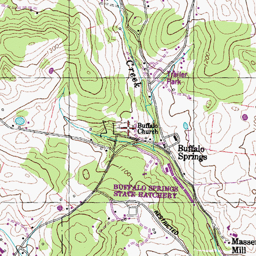 Topographic Map of Buffalo Church, TN