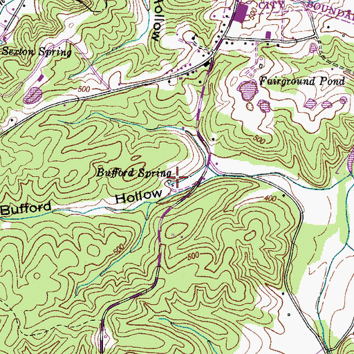 Topographic Map of Bufford Spring, TN