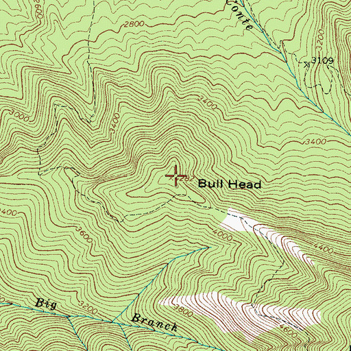 Topographic Map of Bull Head, TN