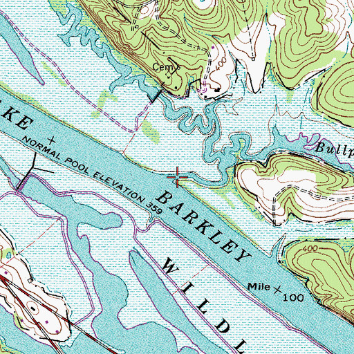 Topographic Map of Bullpasture Creek, TN