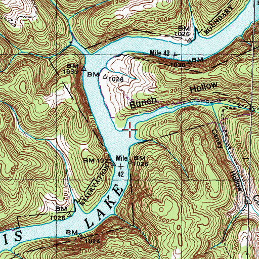 Topographic Map of Bunch Hollow, TN