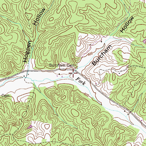Topographic Map of Burcham Hollow, TN