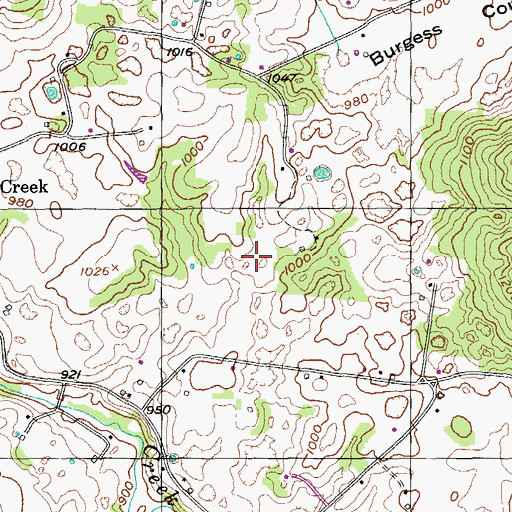Topographic Map of Burgess Cove, TN