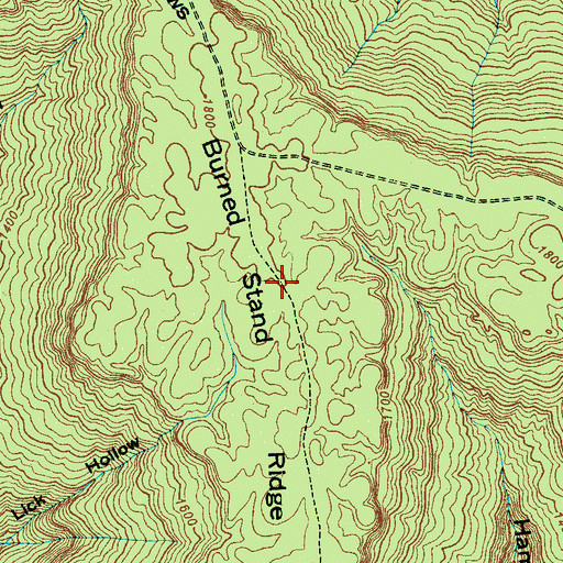 Topographic Map of Burned Stand Ridge, TN
