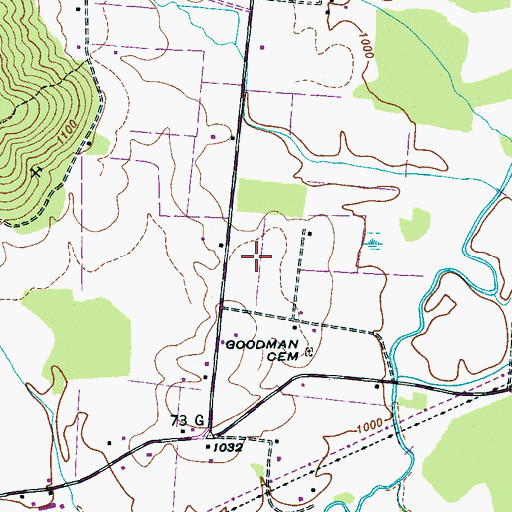Topographic Map of Burrow Cove, TN