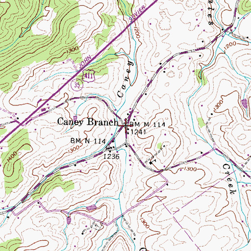 Topographic Map of Caney Branch, TN