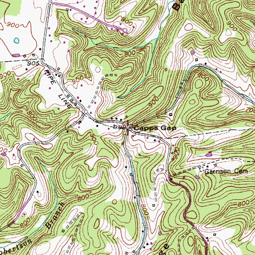 Topographic Map of Capps Gap, TN