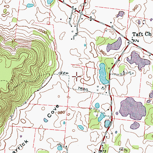 Topographic Map of Carrick Cove, TN