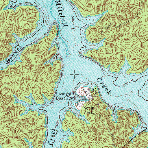 Topographic Map of Carter Creek, TN